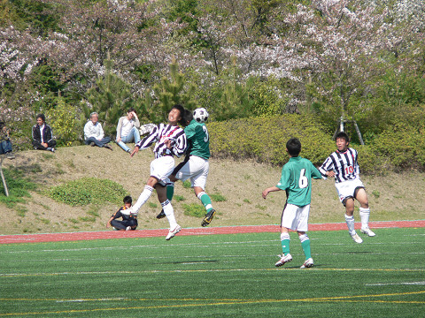 20090412_02.jpg