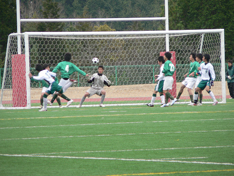 20100131_06.jpg
