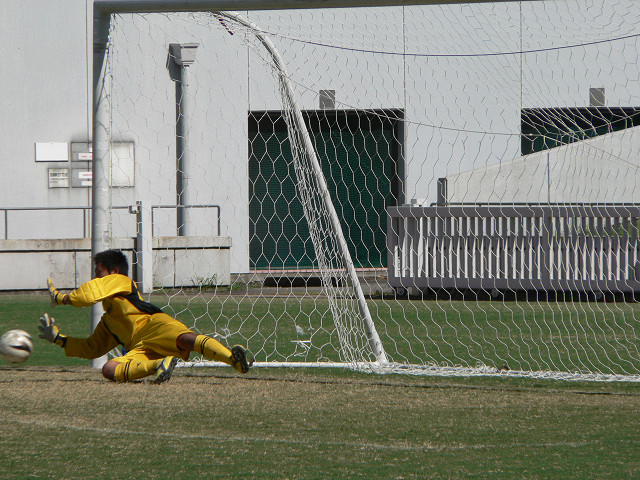 201208052_03.jpg