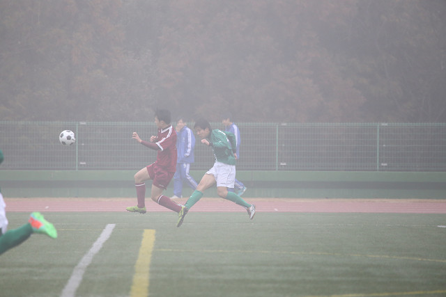 201402022_10.jpg