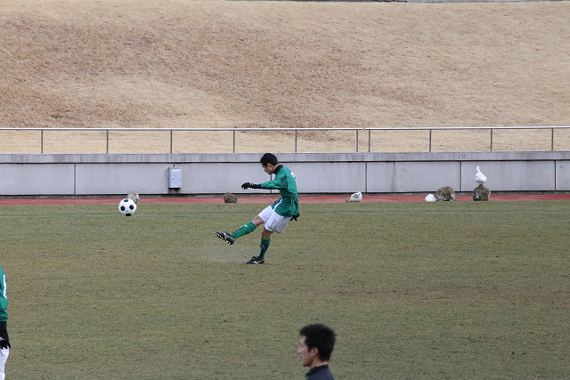 201402152_04.jpg