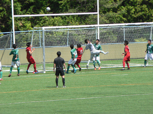 20180429B1_12.jpg
