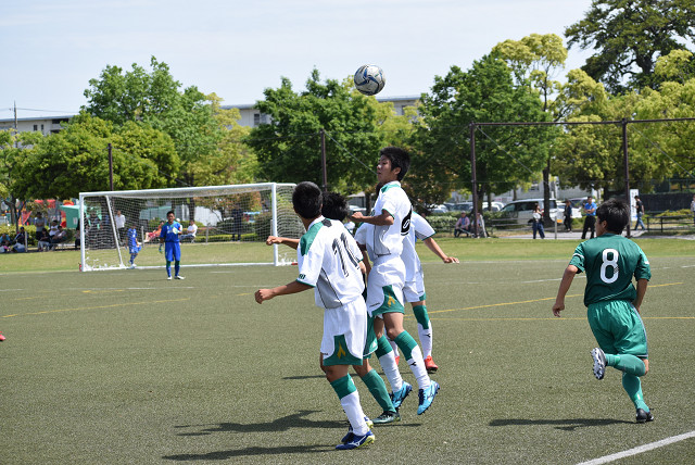 20180506A1_25.jpg