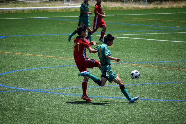 20180520A1_13.jpg