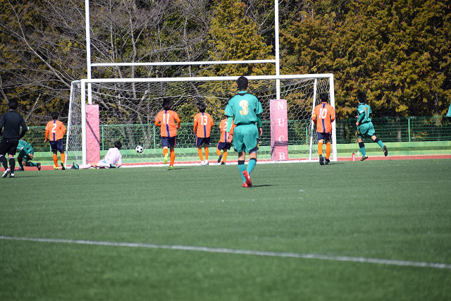 20190202A1_006.jpg