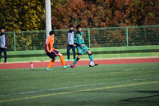 20190202A1_015.jpg
