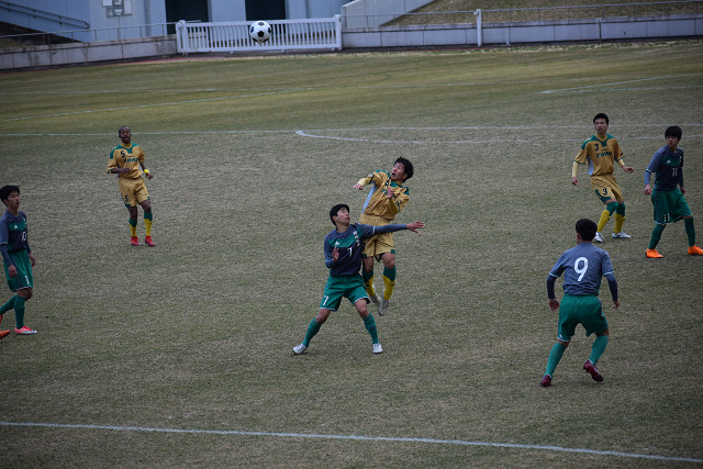 20190216A1_009.jpg