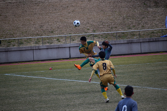 20190216A1_020.jpg