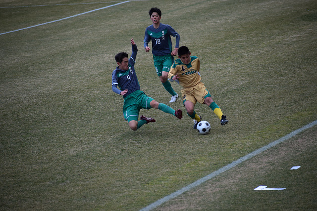 20190216A1_024.jpg