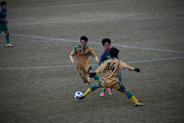 20190216A1_049.jpg